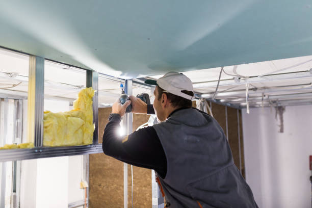 Best Batt and Roll Insulation  in Frederickson, WA