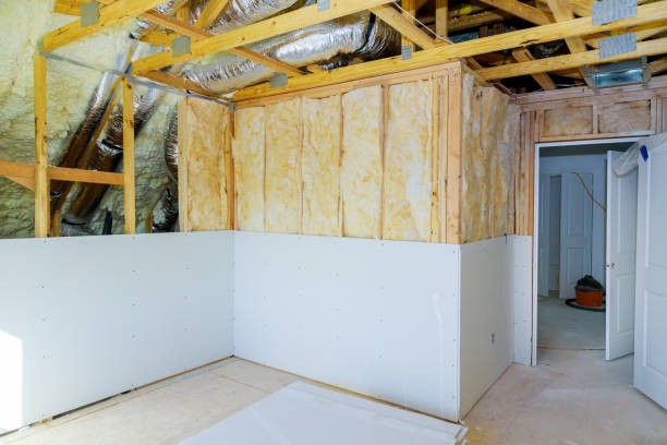 Best Insulation Removal  in Frederickson, WA