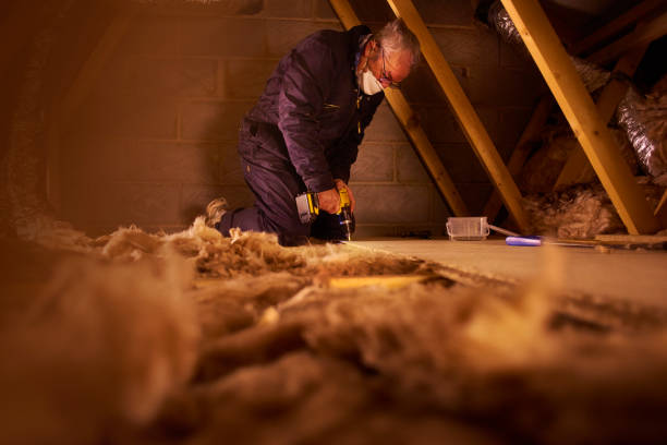 Best Crawl Space Insulation  in Frederickson, WA